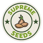 Zur Startseite gehen