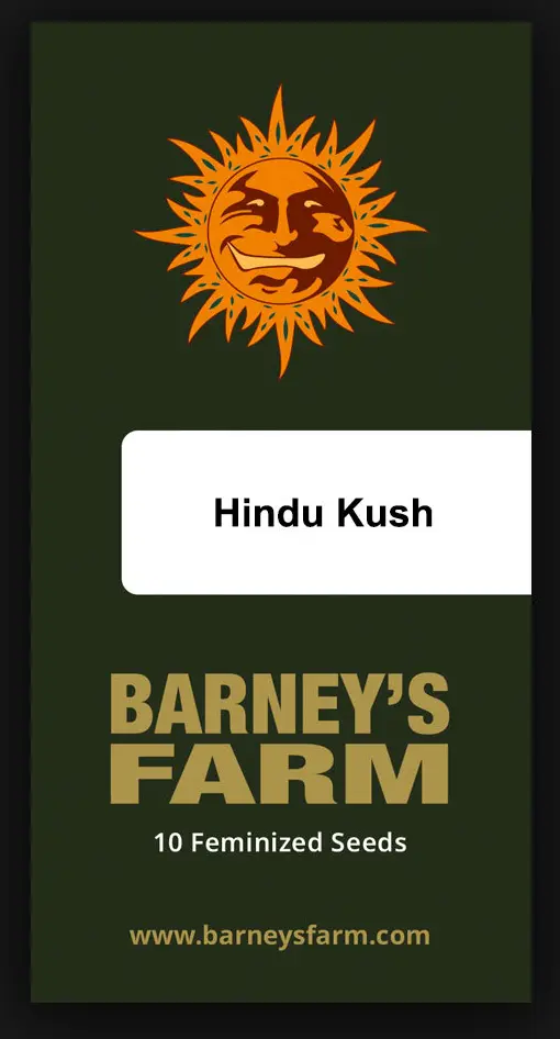 Hindu Kush - Bild 5