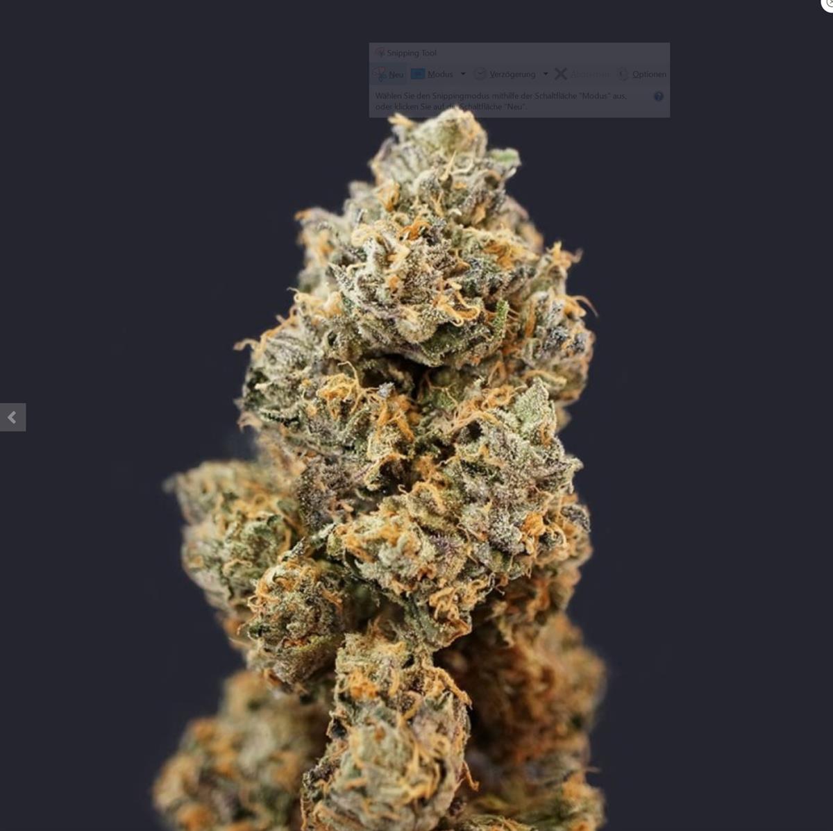 French Macaron, T.H. Seeds - Bild 3