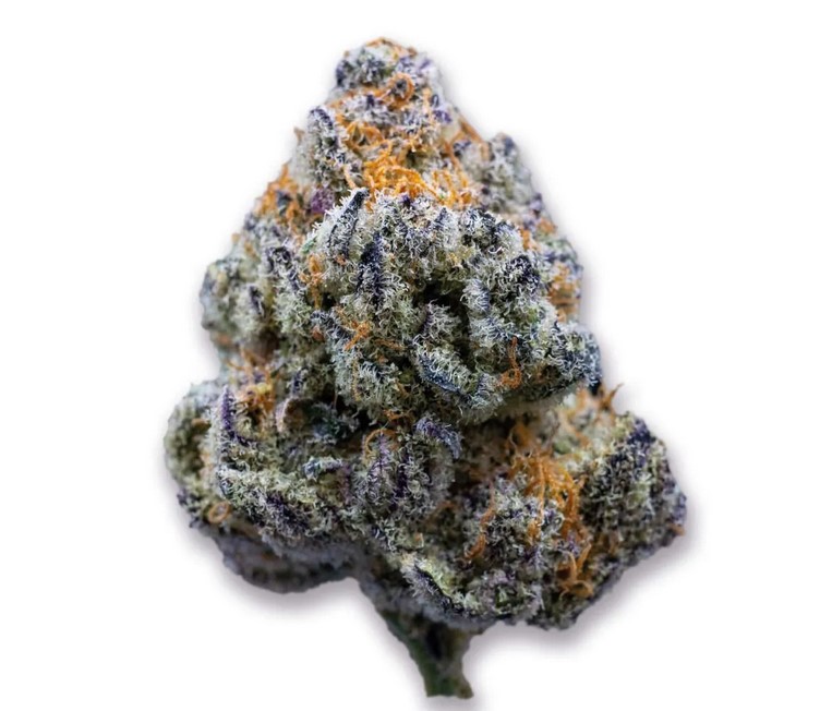 Platinum Mimosa Cookies, Growers Choice - Bild 1