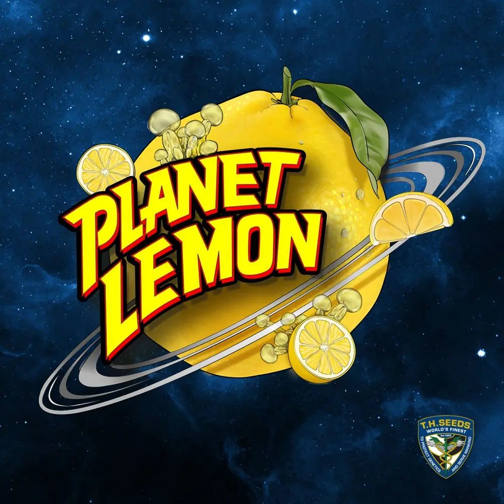 Planet Lemon - Bild 3