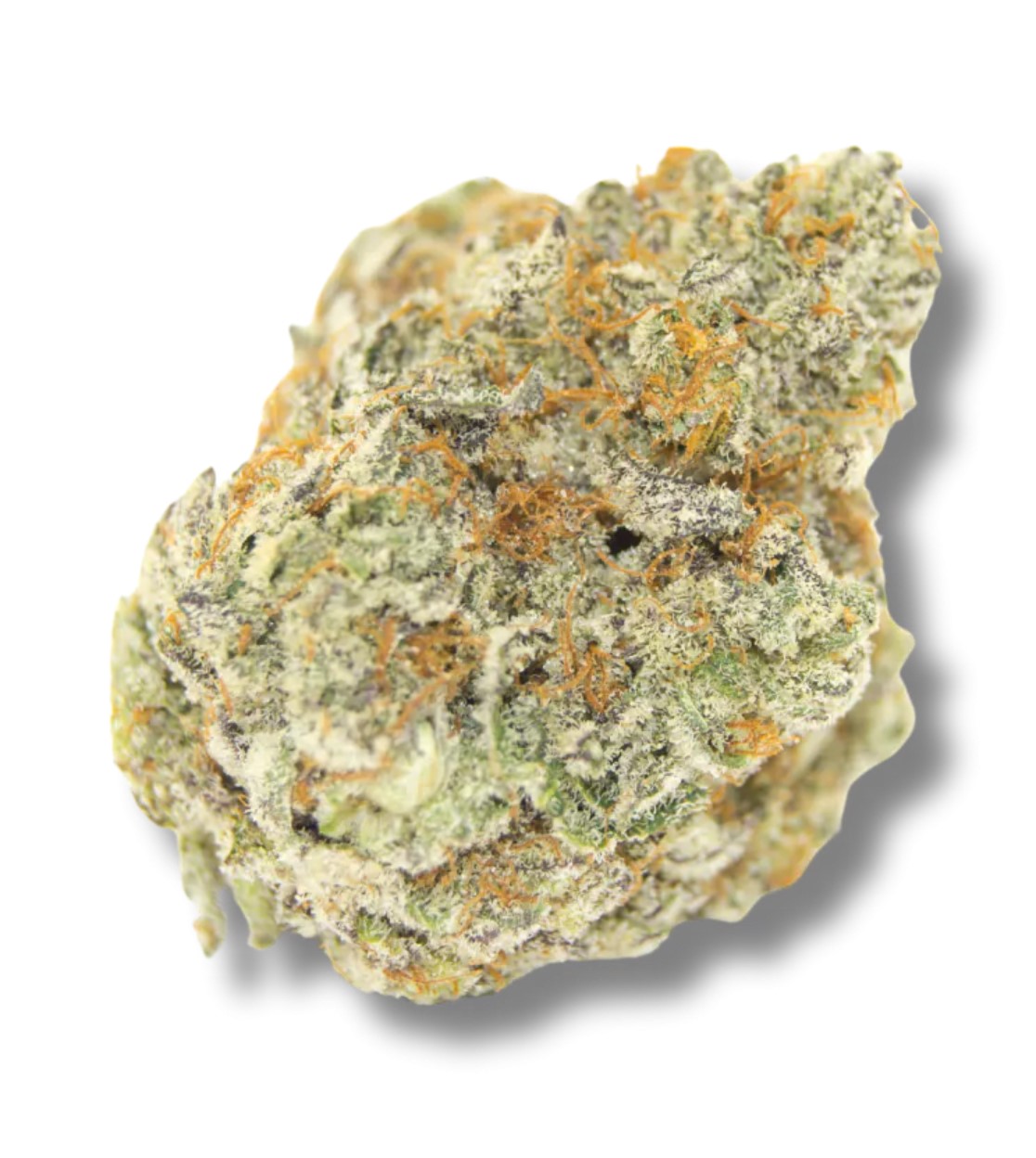 Permanent Whitemarker, Growers Choice - Bild 1