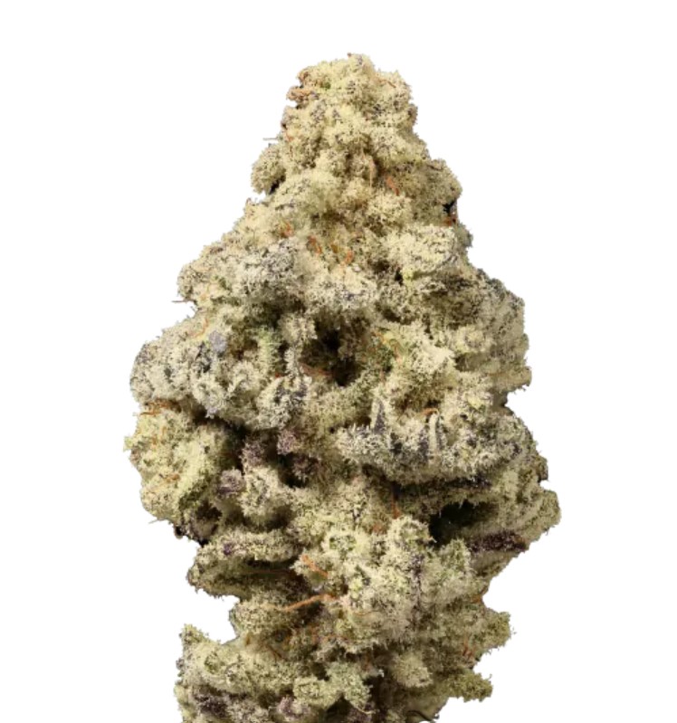 Mac N Cheese, Growers Choice - Bild 1