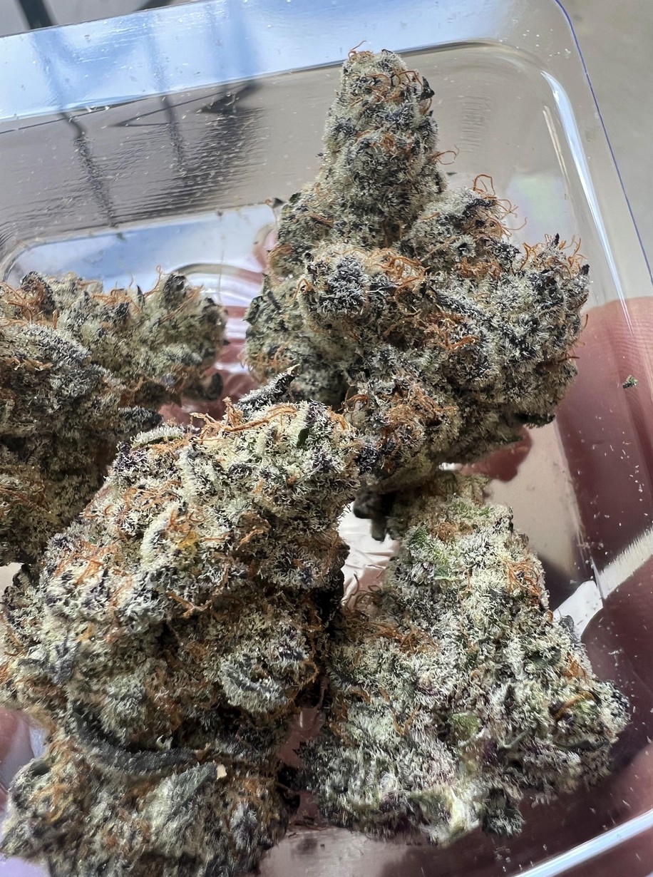 Frozen Grapes, In House Genetics - Bild 2