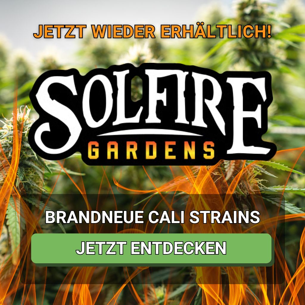 Solfire Gardens - Jetzt wieder erhältlich. Brandneue Cali-Strains!
