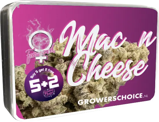 Mac N Cheese - Bild 3
