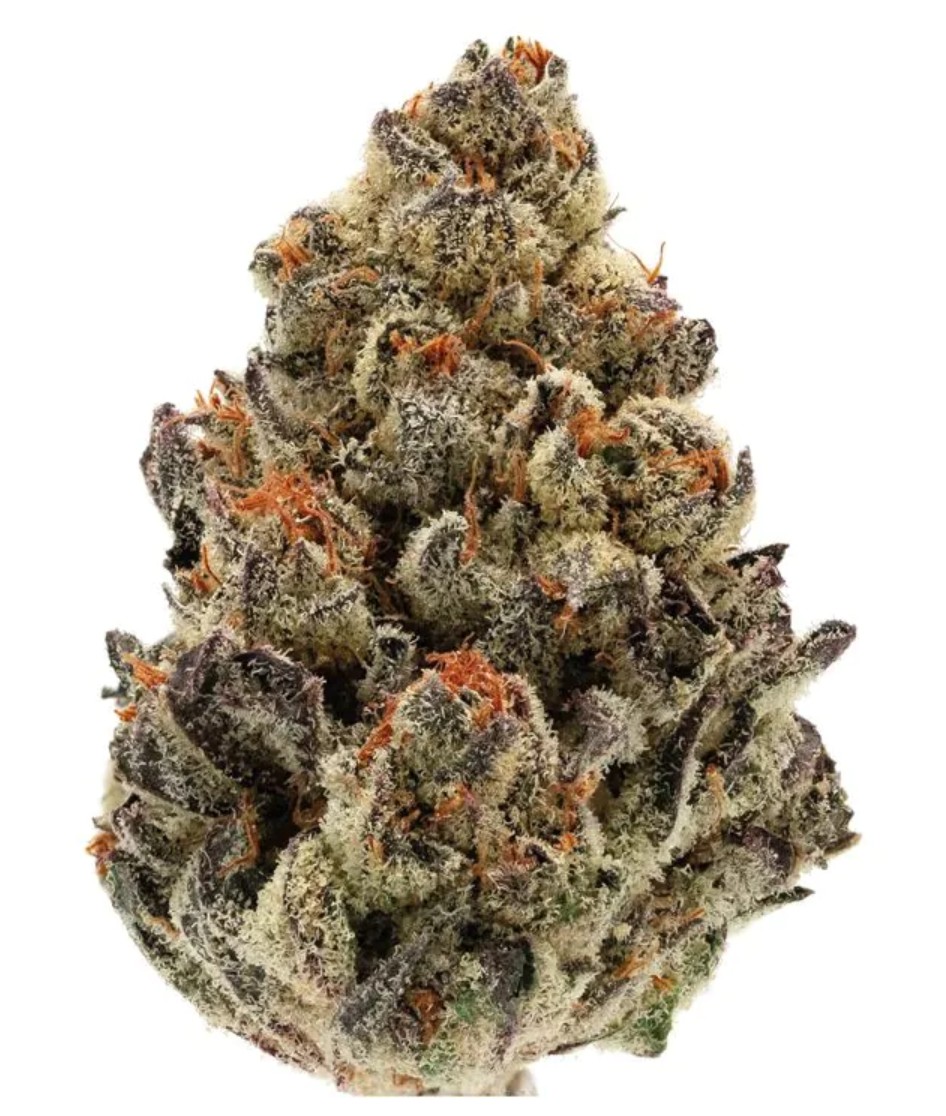 Bruce Banner III Auto, Growers Choice - Bild 1