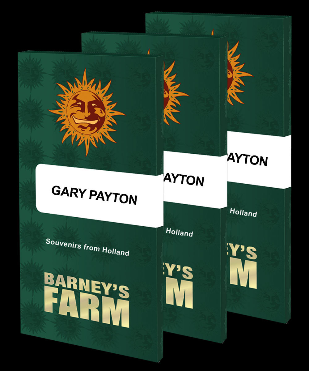 Gary Payton, Barneys Farm - Bild 2