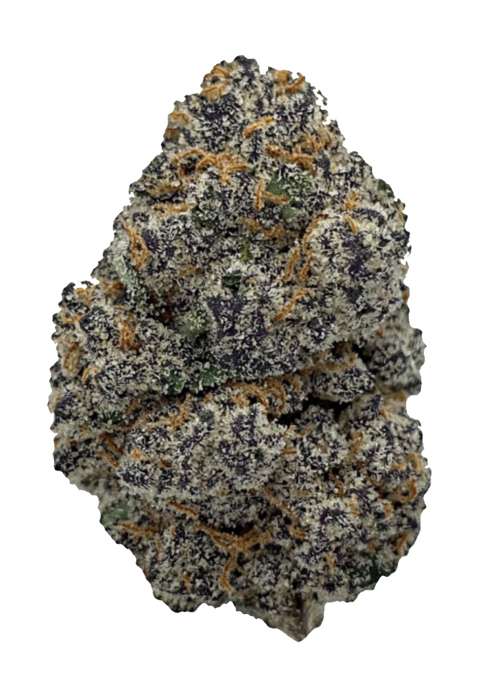 Tacky Glue, In House Genetics - Bild 1