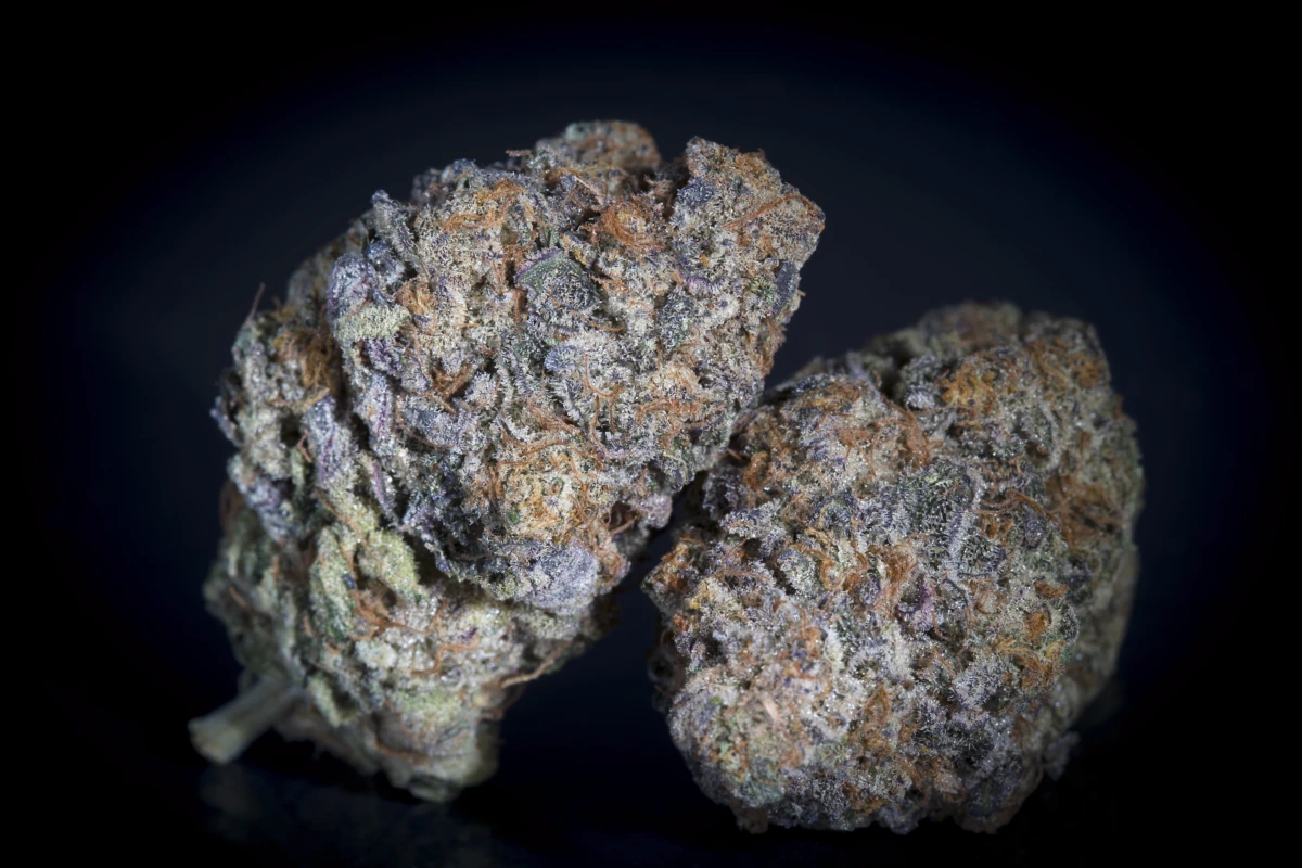 Gulupa, Paradise Seeds - Bild 4