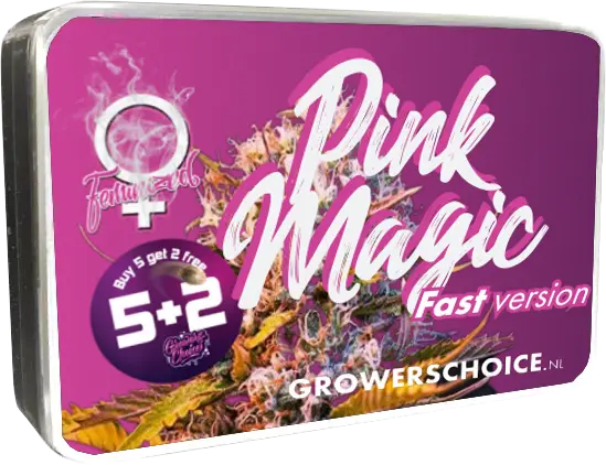 Pink Magic Fast Version - Bild 3