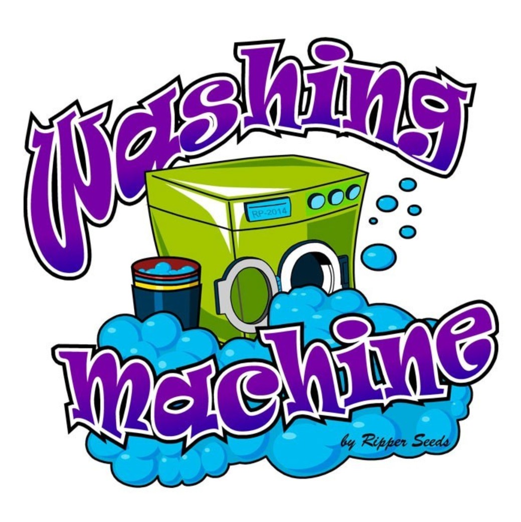 Washing Machine, Ripper Seeds - Bild 2