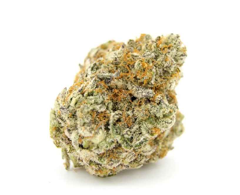 Forbidden Runtz XXL CBD Auto, Growers Choice - Bild 1