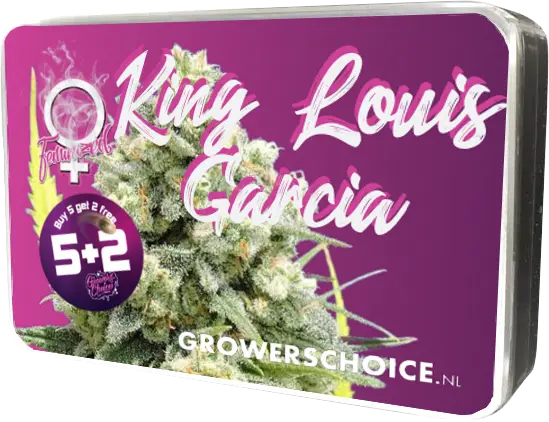 King Louis Garcia - Bild 5