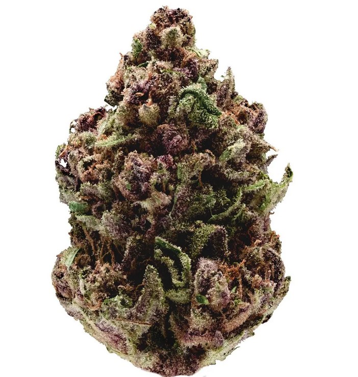 Pink Magic Fast Version, Growers Choice - Bild 1