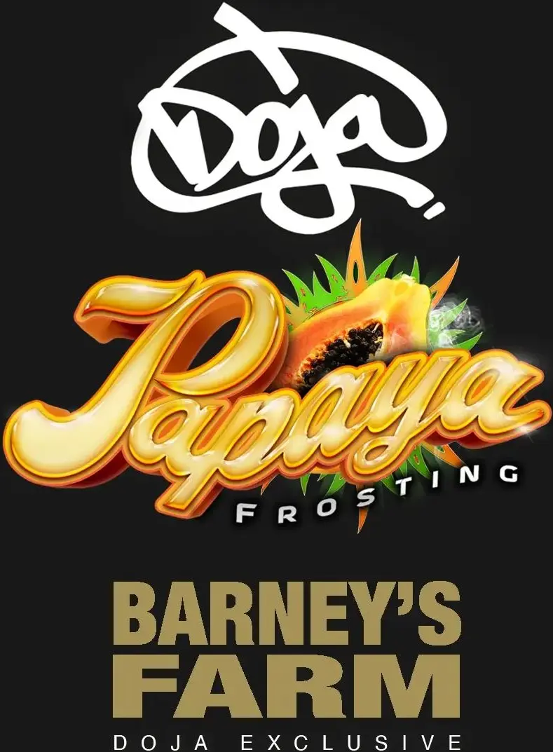 Papaya Frosting - Bild 1