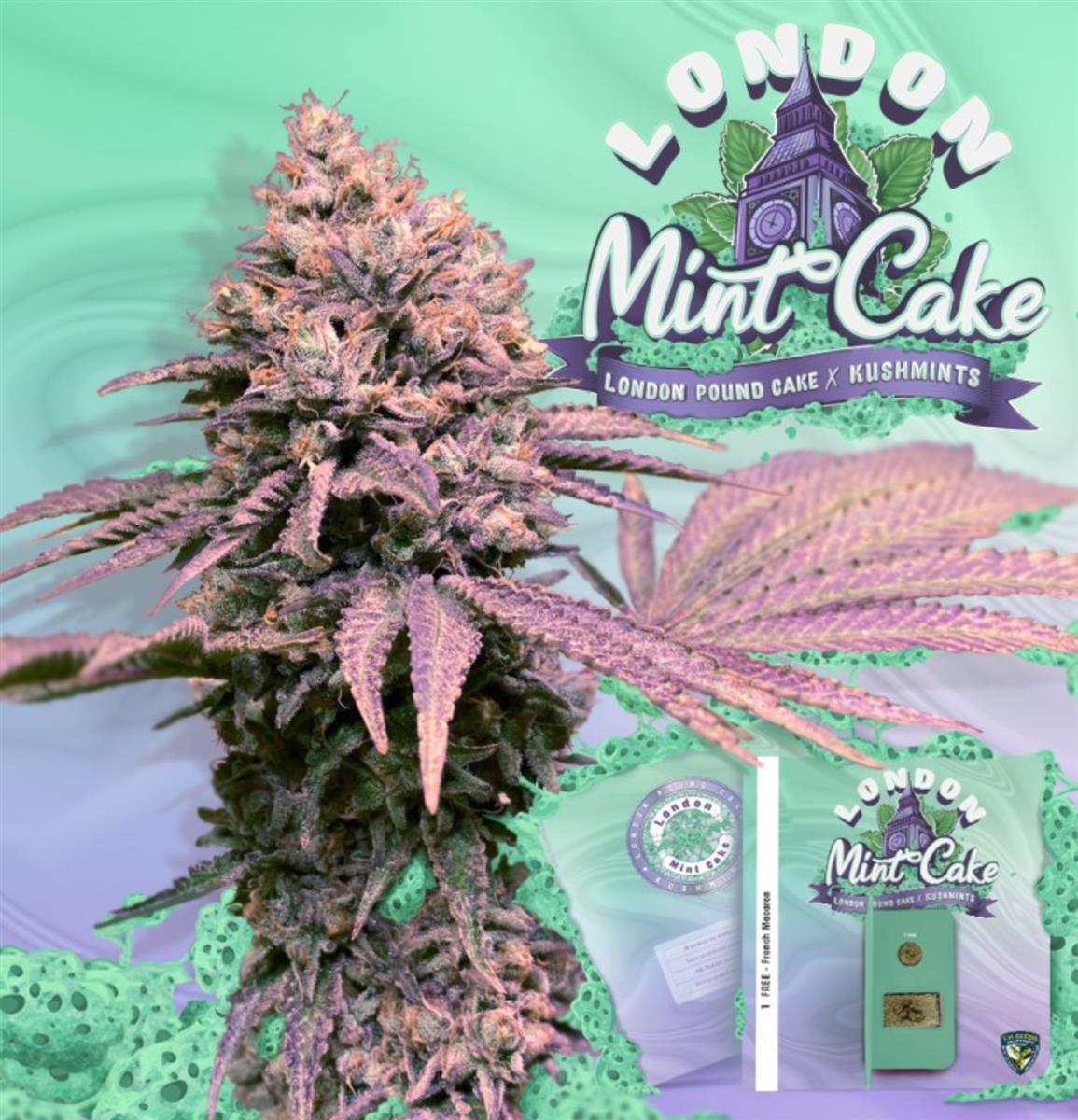 London Mint Cake, T.H. Seeds - Bild 3
