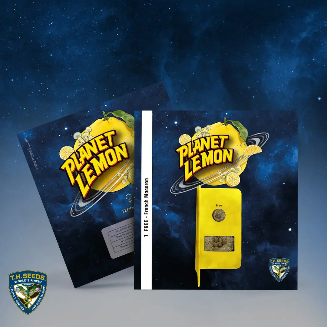 Planet Lemon - Bild 4