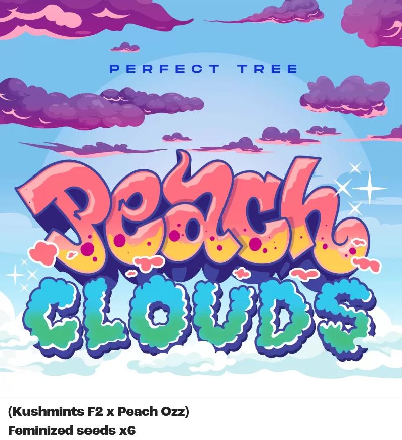 Peach Clouds, Perfect Tree - Bild 3