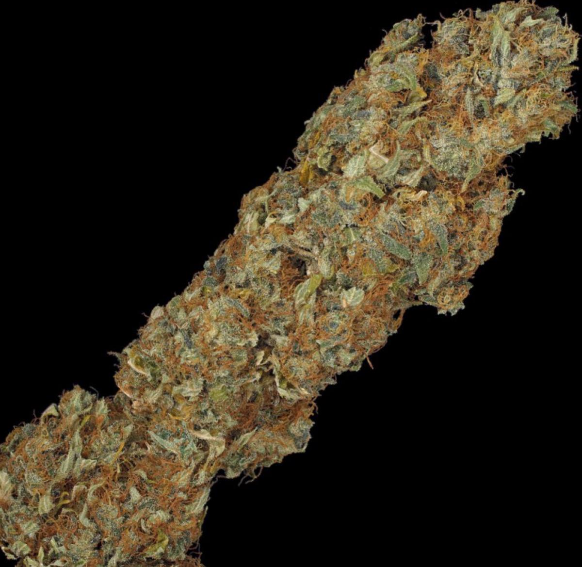 S.A.G.E. CBD, T.H. Seeds - Bild 3