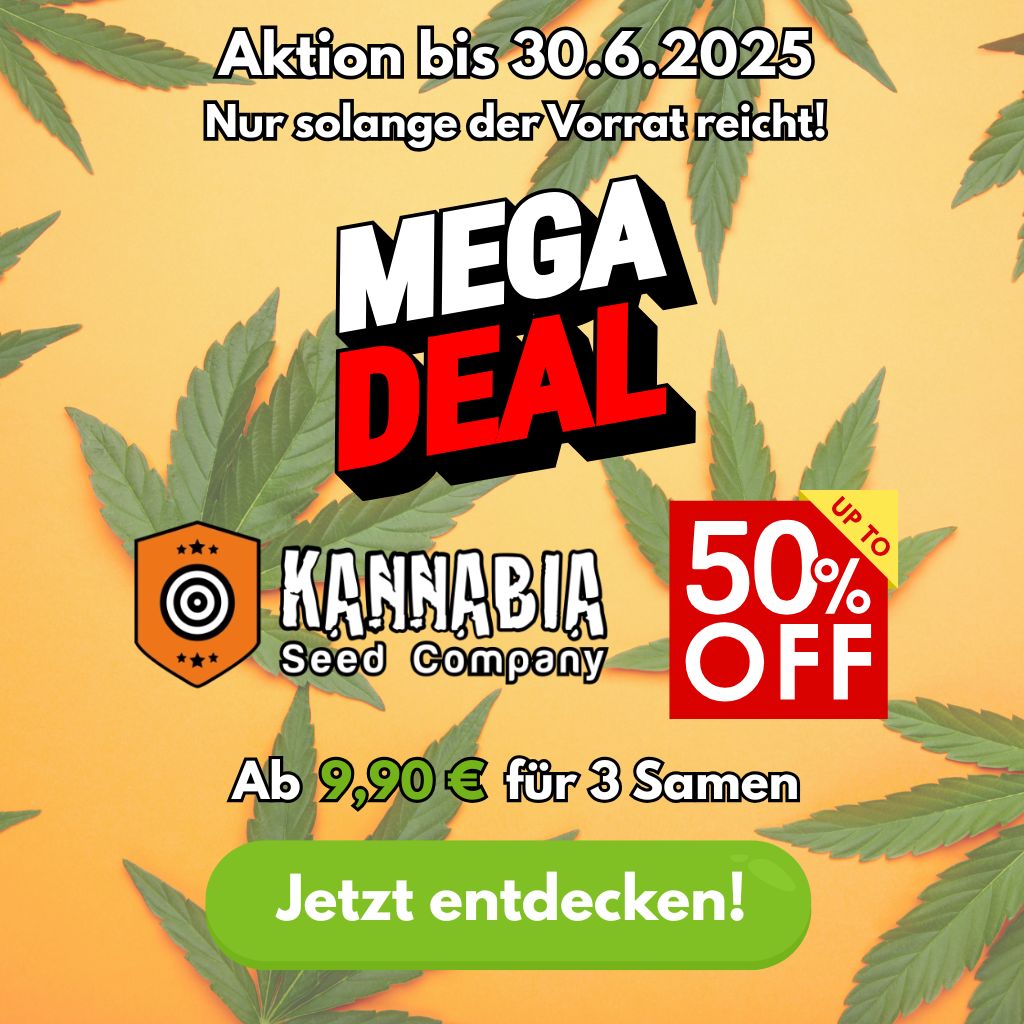 Kannabia Mega Deal, bis zu 50% Rabatt, ab 9,90€ für 3 Samen