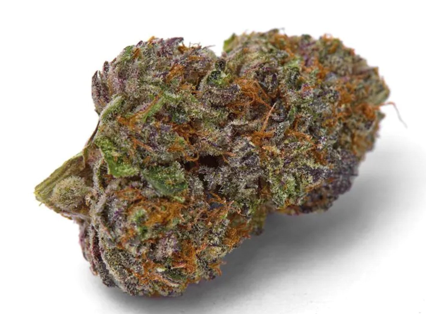 Purple Dosi Punch, Growers Choice - Bild 1