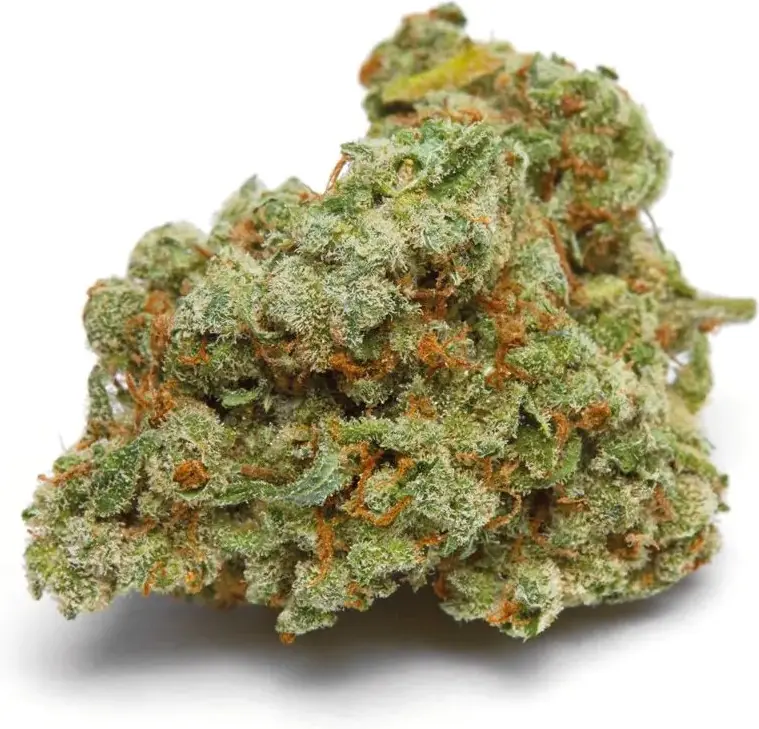 Banana Sherbet XXL Auto - Bild 1