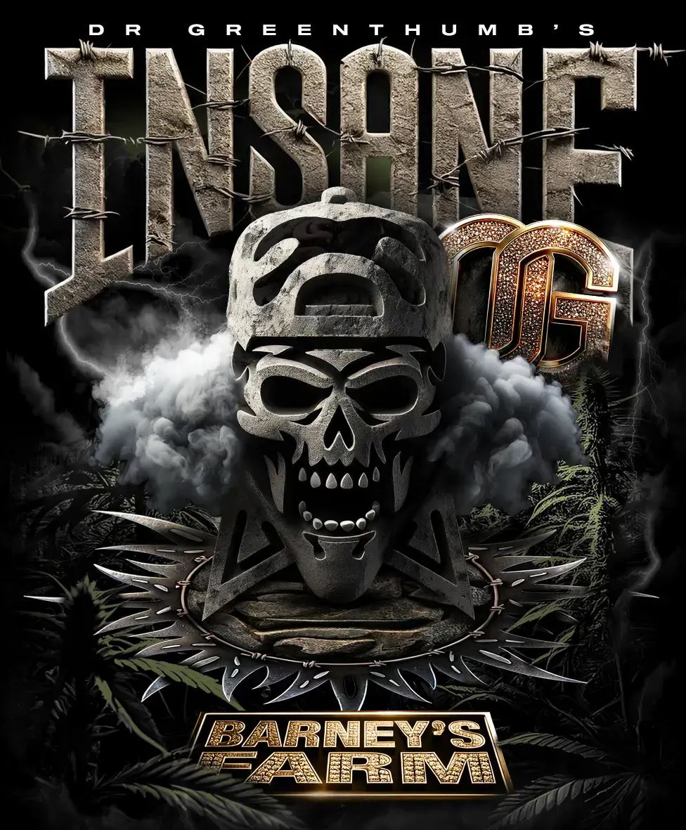 Insane OG, Barneys Farm - Bild 1