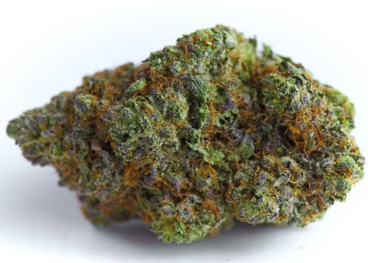 Blue Forest Berry Auto, Growers Choice - Bild 1