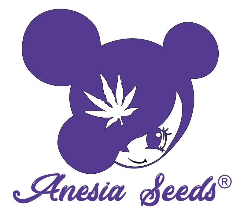 Anesia Seeds Herstellerlogo