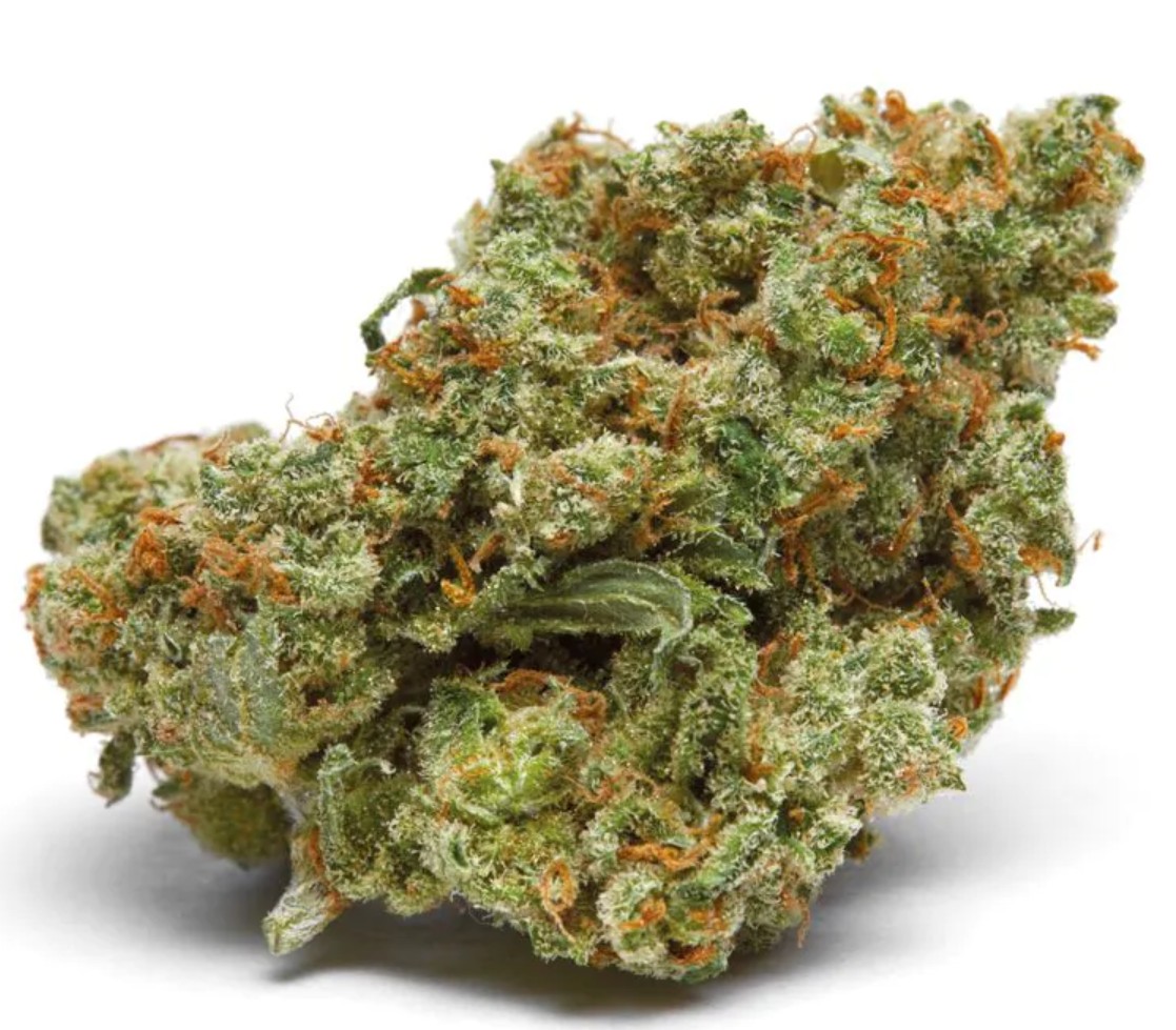 The Real Amnesia, Growers Choice - Bild 1