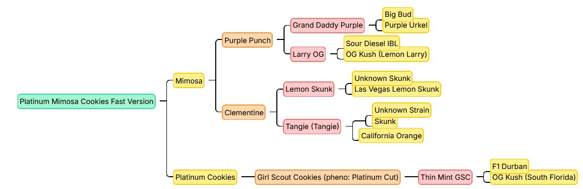 Platinum Mimosa Cookies, Growers Choice - Bild 2