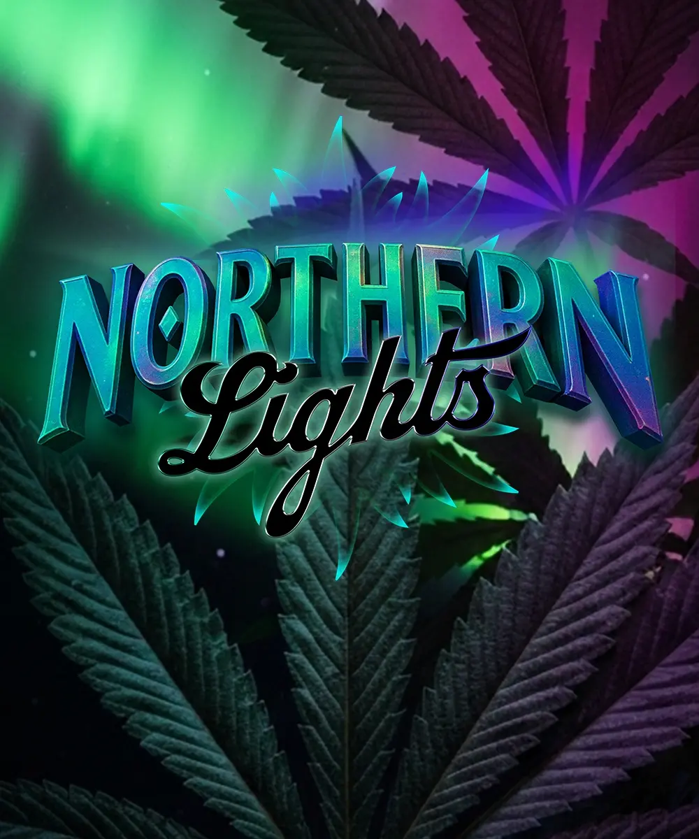 Northern Lights, Barneys Farm - Bild 1