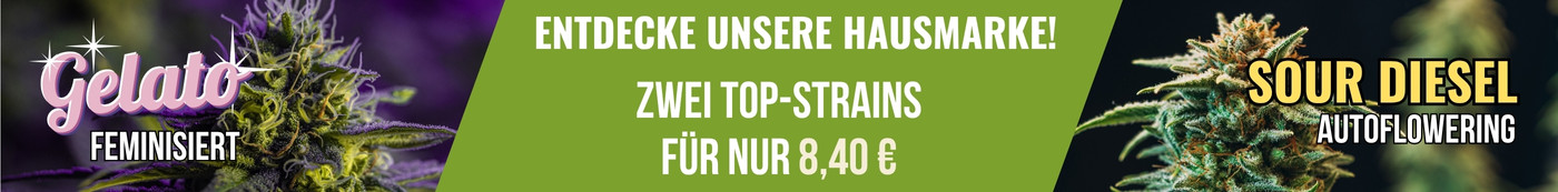 Entdecke unsere Hausmarke! Zwei Sorten für nur 8,40 €: Gelato und Sour Diesel
