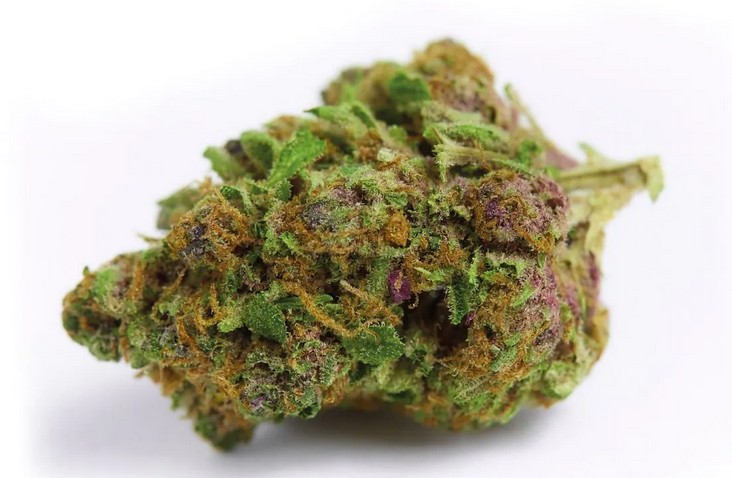 Red Banana Berry, Growers Choice - Bild 1