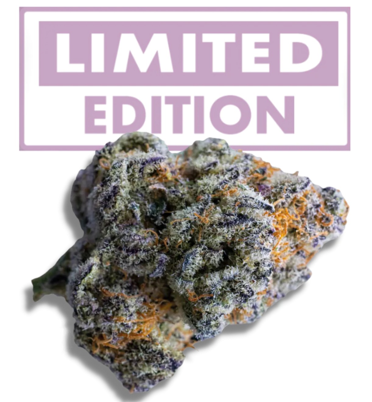 Platinum Mimosa Cookies XXL CBD Auto, Growers Choice - Bild 1