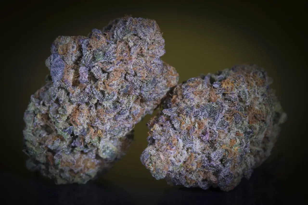 Purple Mints - Bild 6