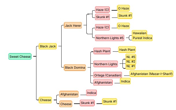 Sweet Cheese, Sweet Seeds - Bild 3