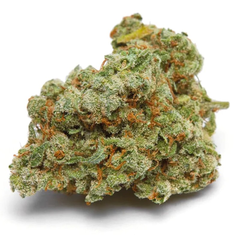 Banana Sherbert XXL Auto, Growers Choice - Bild 1