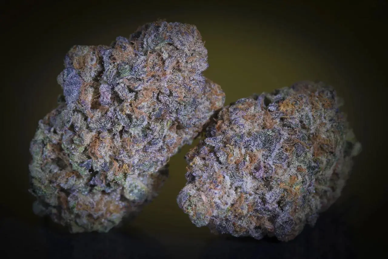 Purple Mints - Bild 5