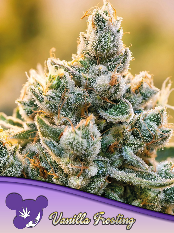 Vanilla Frosting Vanilla Frosting