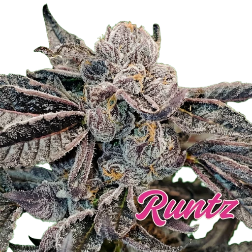 Runtz