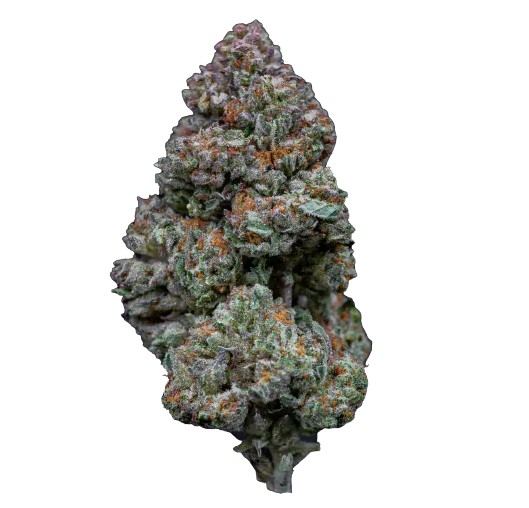 RS 11, Growers Choice - Bild 1