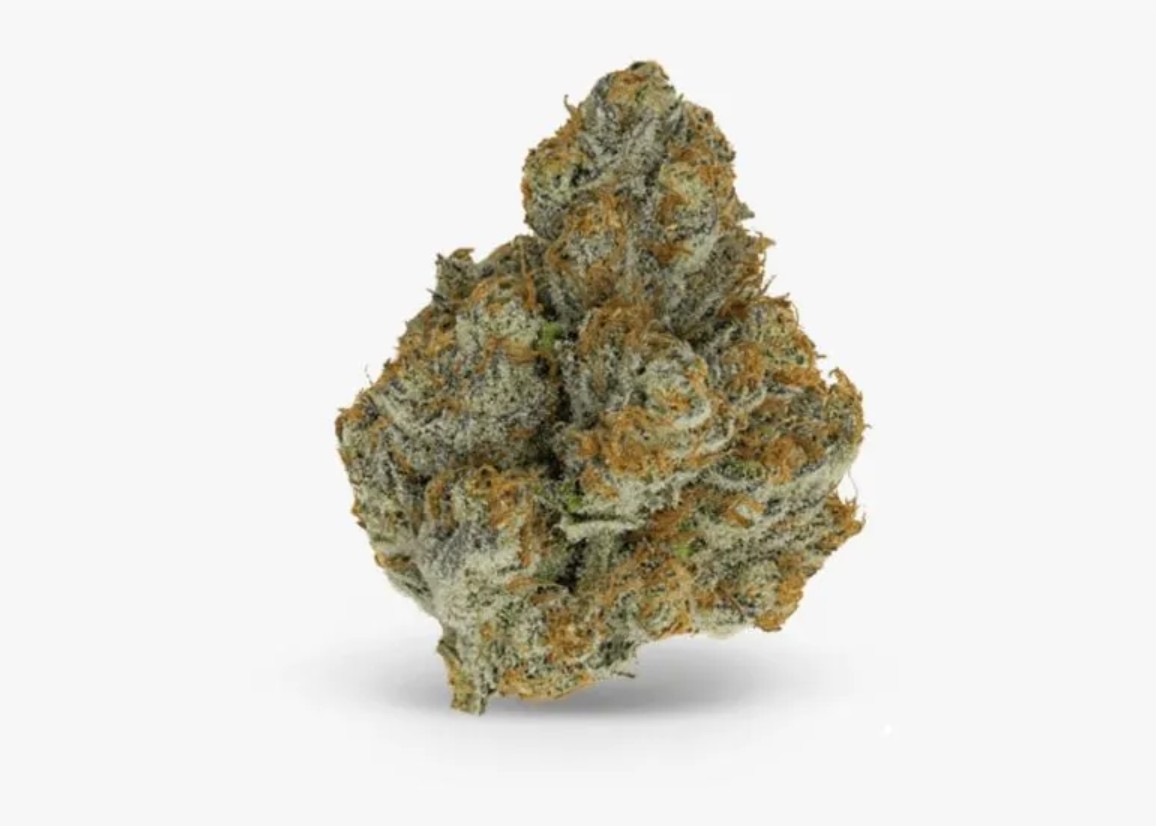 Blue Zushi, Growers Choice - Bild 2