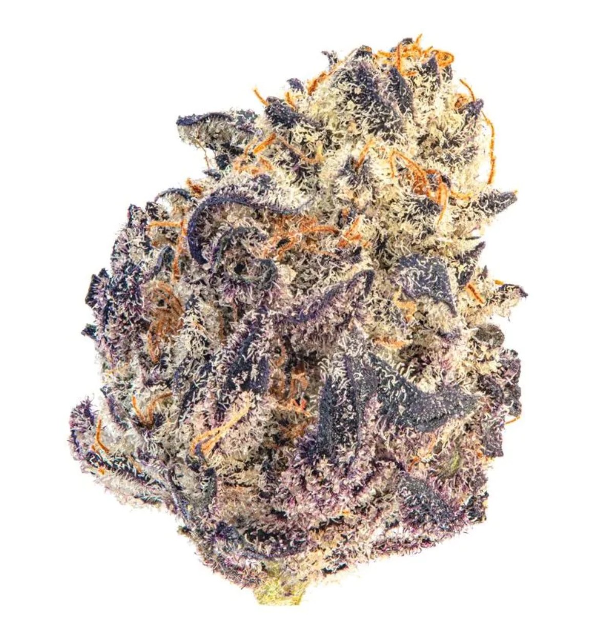 Cherry MAC Muffin, Growers Choice - Bild 1