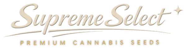 Supreme Select - Premium Cannabis Seeds