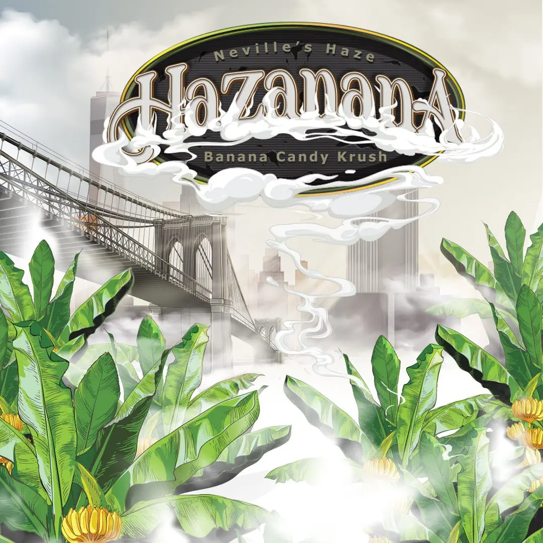 Hazanana - Bild 4
