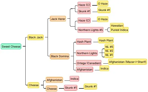Sweet Cheese - Bild 3