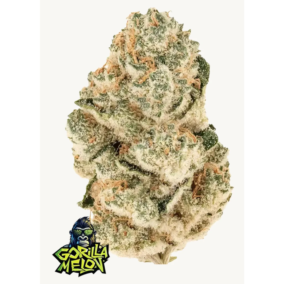 Gorilla Melon