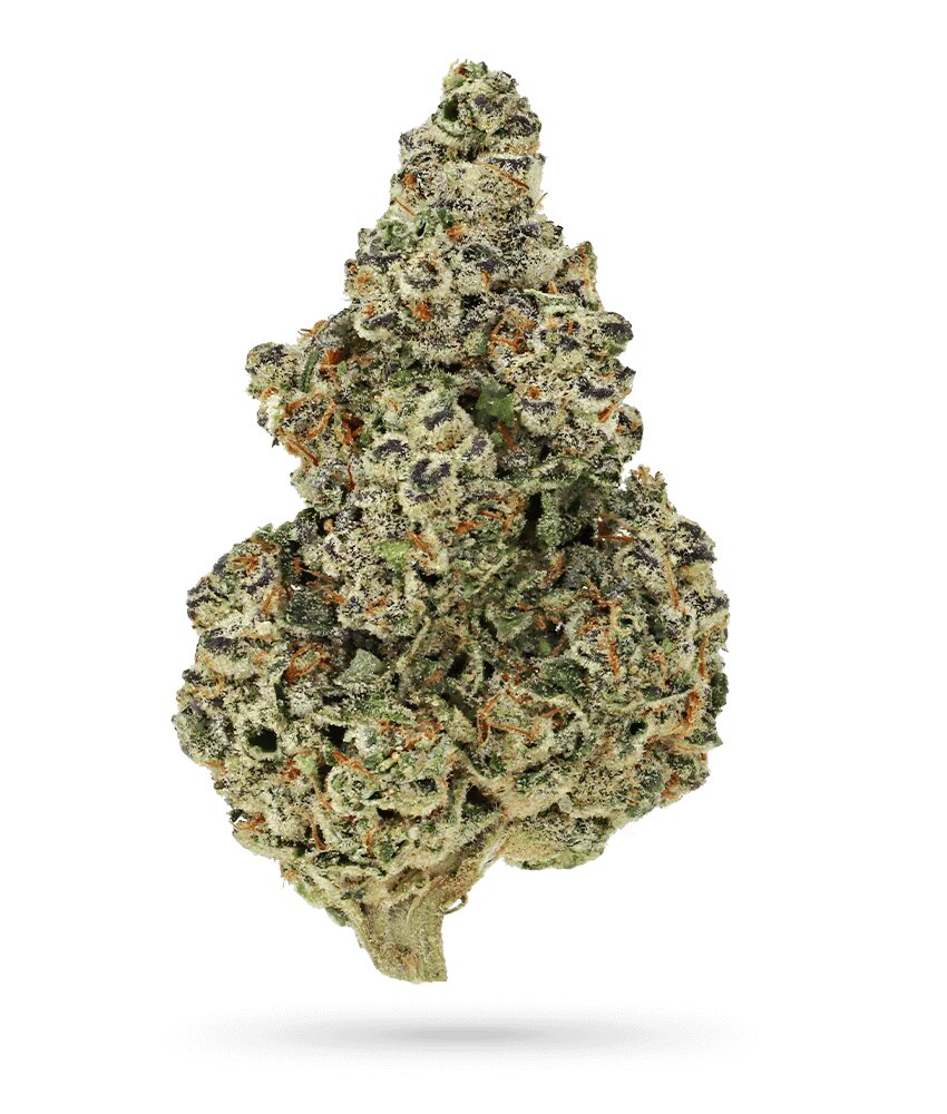 Crazy Roses Fast Version, Growers Choice - Bild 1